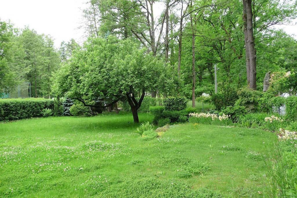 Chalupa U Kolcavy Volenice  Exterior foto